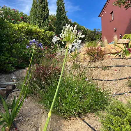 Apartamento Marcelle Sainte-Maxime