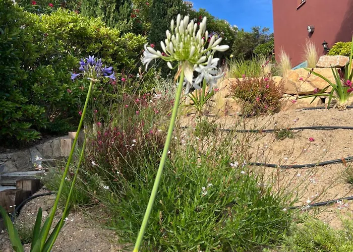 Apartmán Marcelle Sainte-Maxime